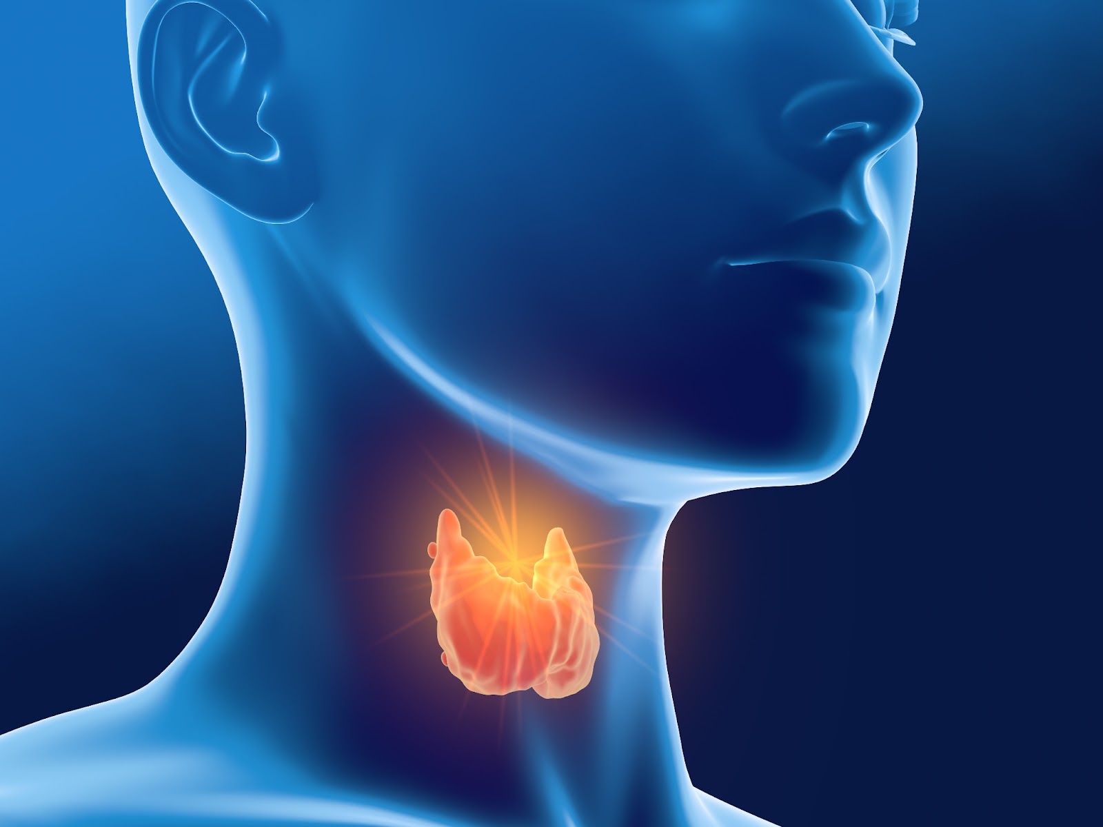 Advocating for Your Own Thyroid Health